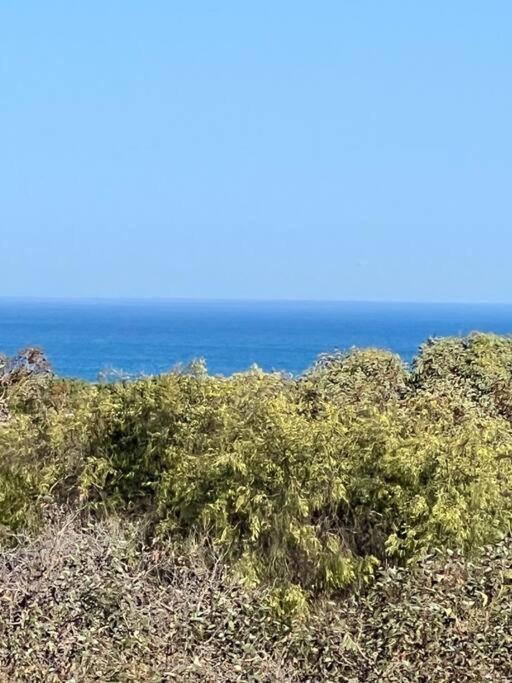 Point Roadknight With Ocean And Tree Views Anglesea Villa Exterior photo