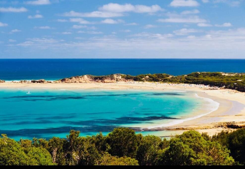 Point Roadknight With Ocean And Tree Views Anglesea Villa Exterior photo