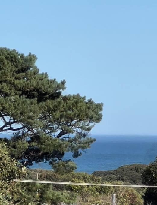 Point Roadknight With Ocean And Tree Views Anglesea Villa Exterior photo