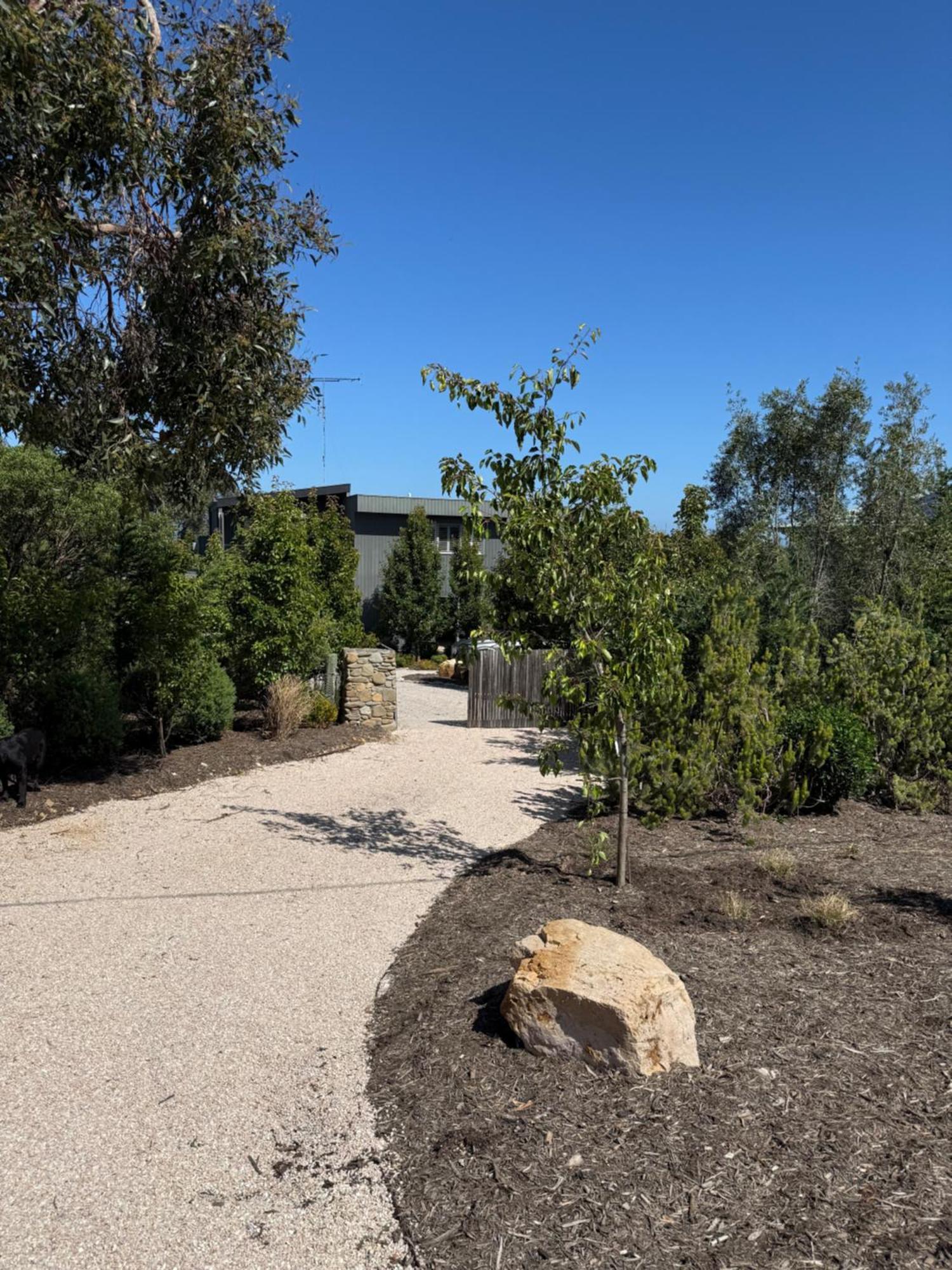 Point Roadknight With Ocean And Tree Views Anglesea Villa Exterior photo